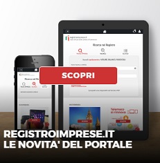 registro imprese link esterno: www.registroimprese.it