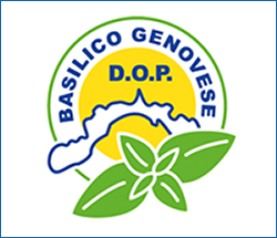 Basilico genovese D.O.P.