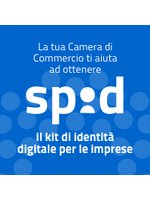 SPID - Sistema Pubblico di Identità Digitale
