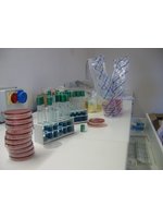 laboratorio chimico merceologico