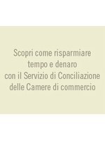 conciliazione2011