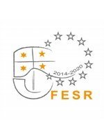 logo porfesr14_20